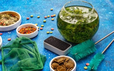 Czy spirulina jest bezpieczna dla każdego organizmu?