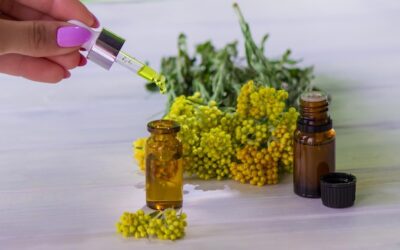 Jak prawidłowo stosować nalewkę z mniszka lekarskiego?