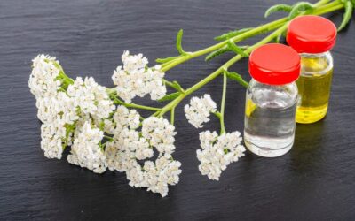 W jakiej fazie pielęgnacji najlepiej nakładać niacynamid?