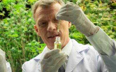 Wywar z mniszka lekarskiego – domowy sposób na zdrowie?