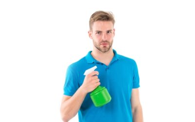 Z czym najlepiej smakuje czystek?