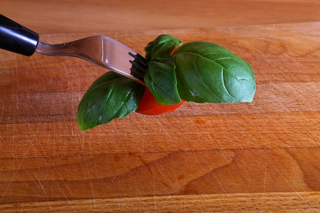 Bazylia jak obrywać listki aby roślina rosła zdrowo?