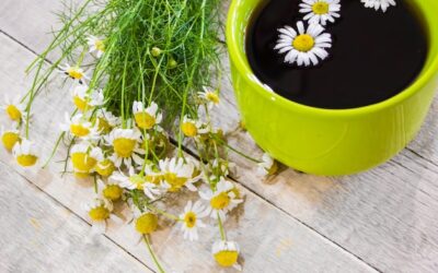 Co zrobić z rumianku, gdy zostanie po zaparzeniu?