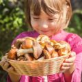 Czy dzieci mogą jeść pieczarki od kiedy warto wprowadzić je do diety?