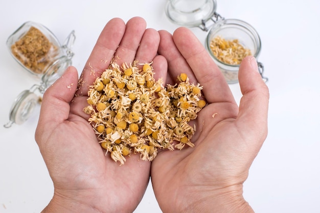 Czy rumianek pomaga schudnąć?