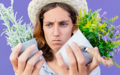 Czy szałwia jest dobra na ból gardła?