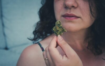 Czy szałwia to narkotyk?