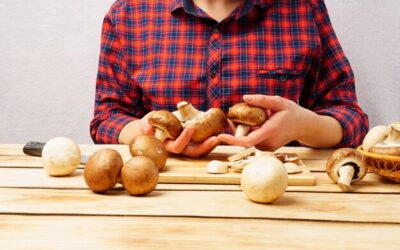 Czym zastąpić grzyby shitake w codziennej kuchni?