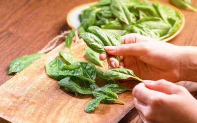 Jak obcinać bazylię, żeby rosła bujniej?