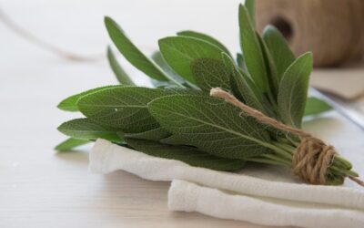 Jak zrobić okład z szałwii i kiedy warto go stosować?