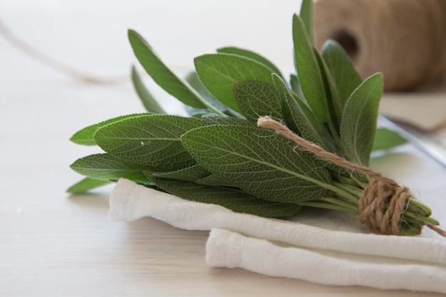 Jak zrobić okład z szałwii i kiedy warto go stosować?