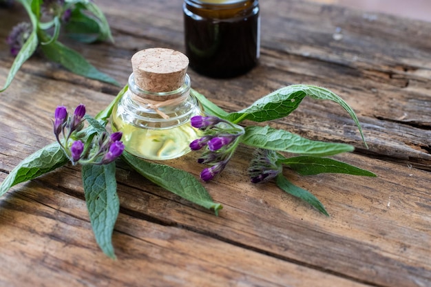 Jakie właściwości ma szałwia lekarska i kiedy warto po nią sięgnąć?