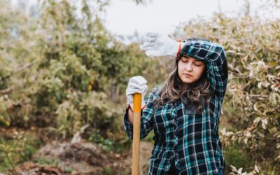 Kiedy zbierać szałwię, by zachowała swoje właściwości?