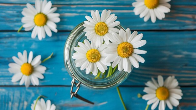 Rumianek ile razy dziennie warto pić?