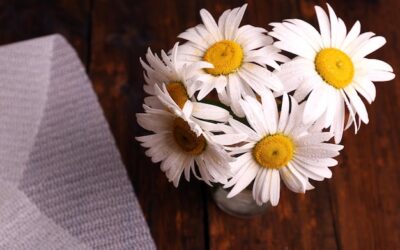 Rumianek na co wpływa i kiedy warto po niego sięgnąć?