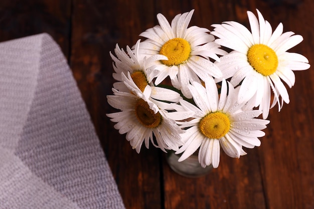 Rumianek na co wpływa i kiedy warto po niego sięgnąć?