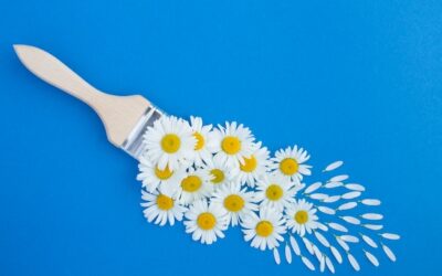 Rumianek symbol jakiego kraju jest najbardziej rozpoznawalny?