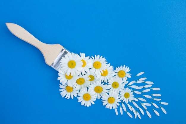 Rumianek symbol jakiego kraju jest najbardziej rozpoznawalny?