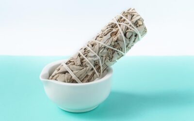 Szałwia jak używać w codziennej kuchni?