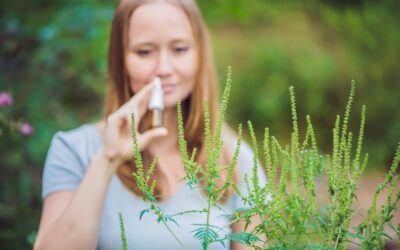 Szałwia wieszcza jak palić i na co zwrócić uwagę?