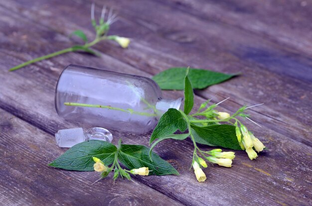 Czy szałwia jest do picia i kiedy warto po nią sięgnąć?