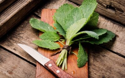 Czy szałwia jest legalna w Polsce?