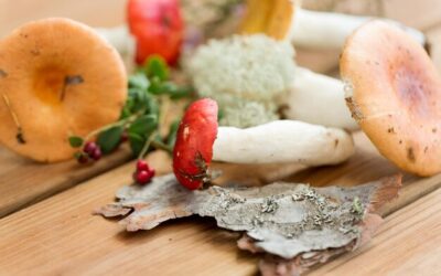 Czym zastąpić grzyby mun w orientalnych przepisach?