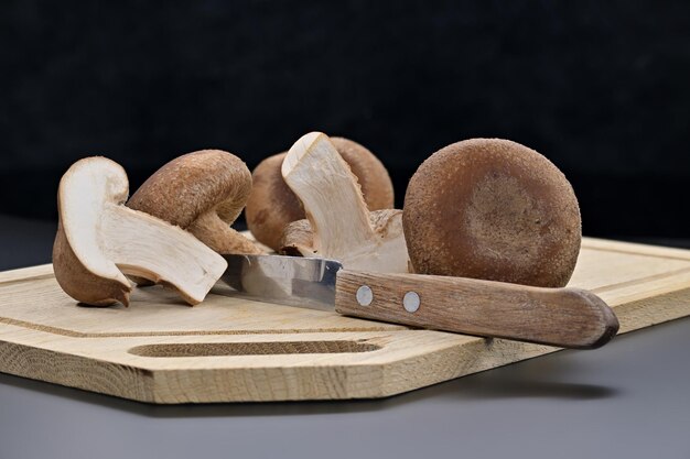 Gdzie kupić grzyby shitake w Polsce?