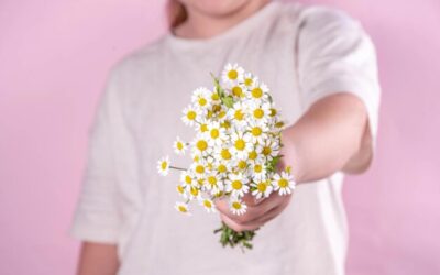 Jak pić rumianek, by wykorzystać jego właściwości?