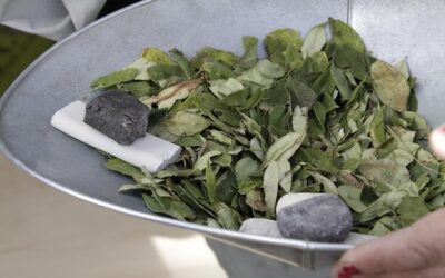 Jak zaparzyć szałwię, by wydobyć jej pełny aromat?