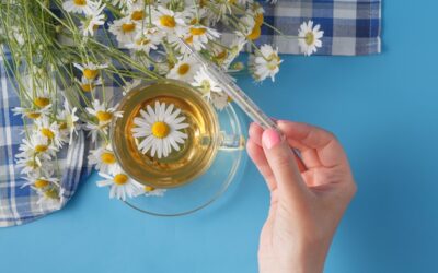 Jak zrobić herbatę z rumianku w domowych warunkach?