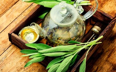 Na co jest dobra herbata z szałwii i kiedy warto ją pić?