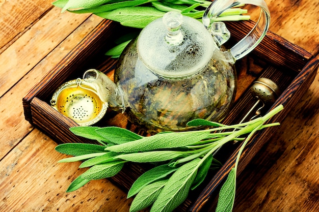 Na co jest dobra herbata z szałwii i kiedy warto ją pić?