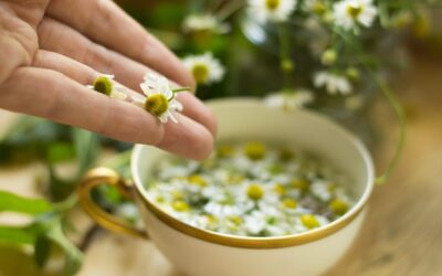 Rumianek jak parzyć, by zachował swoje właściwości?