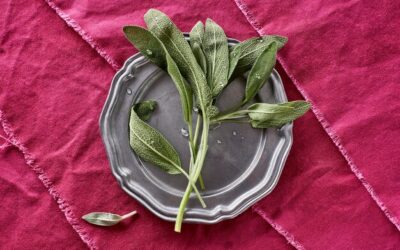 Szałwia ile razy dziennie warto stosować?