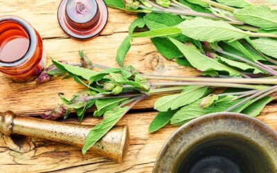 Szałwia jak działa i kiedy warto ją stosować?