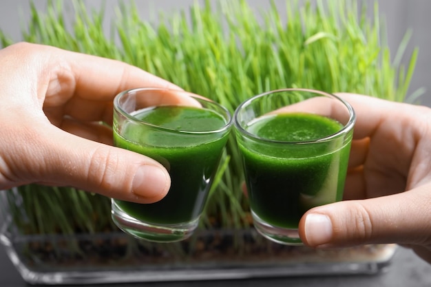 Zielony jęczmień jak jeść na co dzień?