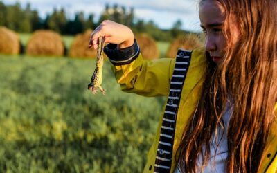 Zielony jęczmień jak stosować w codziennej diecie?