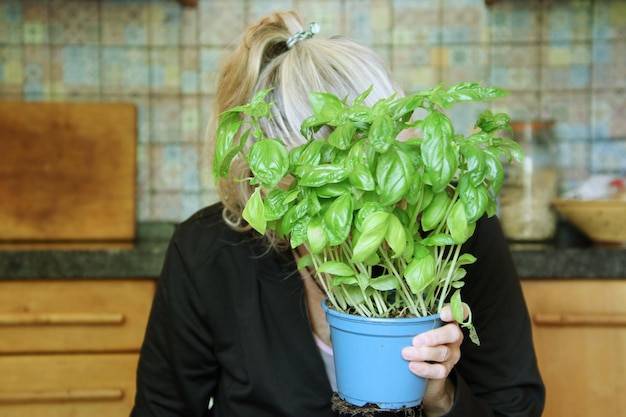 Bazylia kiedy siać by cieszyć się świeżymi liśćmi w kuchni?