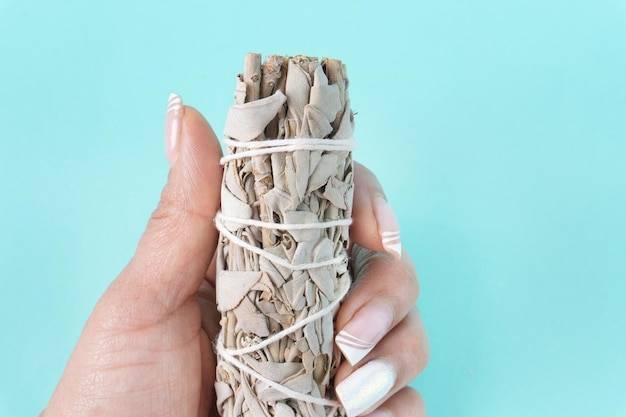 Biała szałwia jak siać w domowych warunkach?