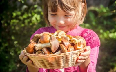 Czy małe dzieci mogą jeść pieczarki?