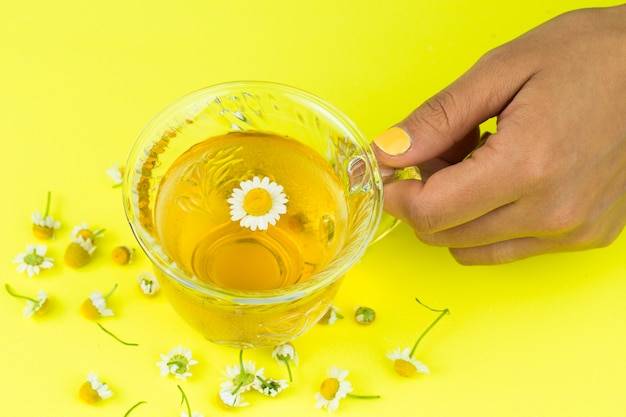 Czy rumianek działa przeciwzapalnie?