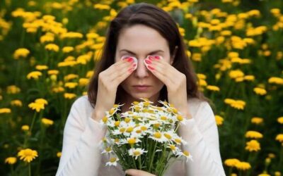 Jak zaparzyć rumianek na oczy, by wspomóc codzienną pielęgnację?