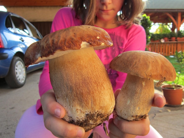 Jakie grzyby do ramenu sprawdzą się najlepiej?