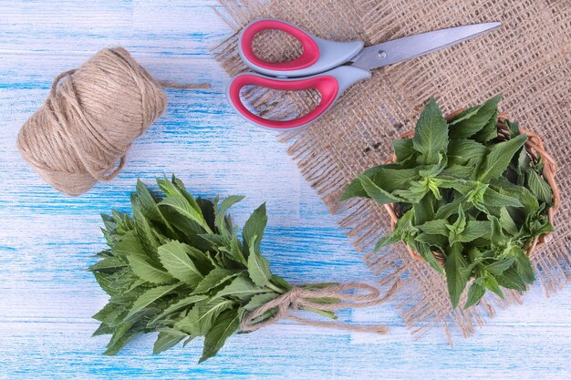 Kiedy ciąć szałwię omszoną, aby pięknie kwitła?