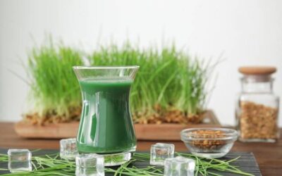 Kiedy pić zielony jęczmień, aby osiągnąć najlepsze efekty?