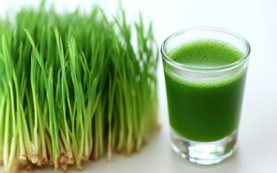 Młody zielony jęczmień jak pić aby wykorzystać jego właściwości?