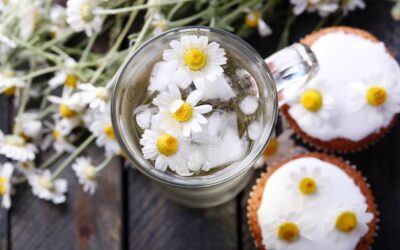 Na co pić rumianek i jakie korzyści może przynieść?