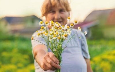 Rumianek dla dzieci na co warto go podawać?