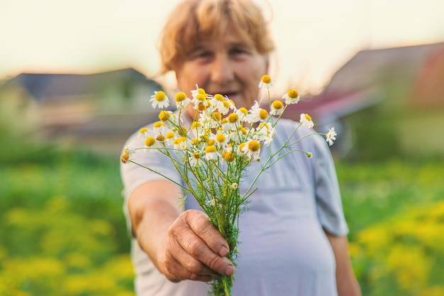 Rumianek dla dzieci na co warto go podawać?